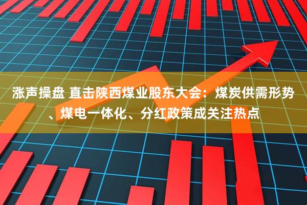 涨声操盘 直击陕西煤业股东大会:煤炭供需形势、煤电一体化、分红政策成关注热点