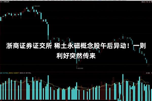 浙商证券证交所 稀土永磁概念股午后异动！一则利好突然传来